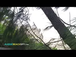 Penasehat keuangan v ...