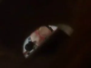 Sudah waktunya untuk ...