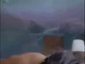 Kualitas terbaik sis ...