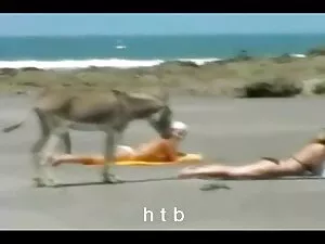 Kim dan kim bokep ba ...