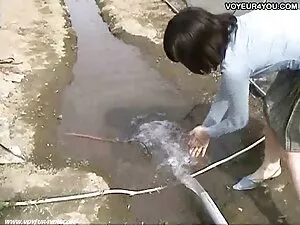 Spesies video penis  ...